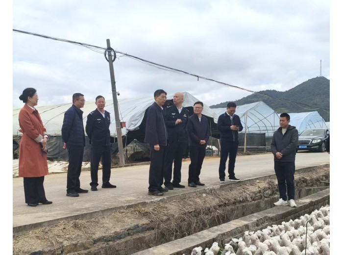 176121580068fa053803567